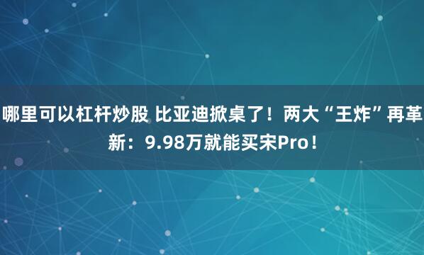 哪里可以杠杆炒股 比亚迪掀桌了！两大“王炸”再革新：9.98万就能买宋Pro！