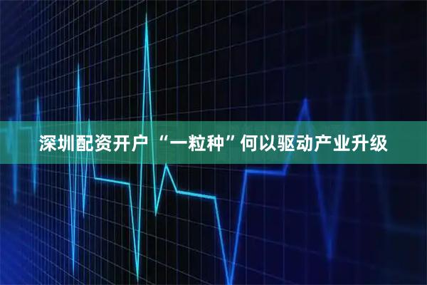 深圳配资开户 “一粒种”何以驱动产业升级