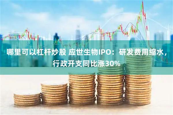 哪里可以杠杆炒股 应世生物IPO：研发费用缩水，行政开支同比涨30%