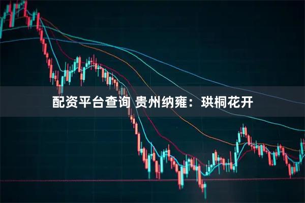配资平台查询 贵州纳雍：珙桐花开
